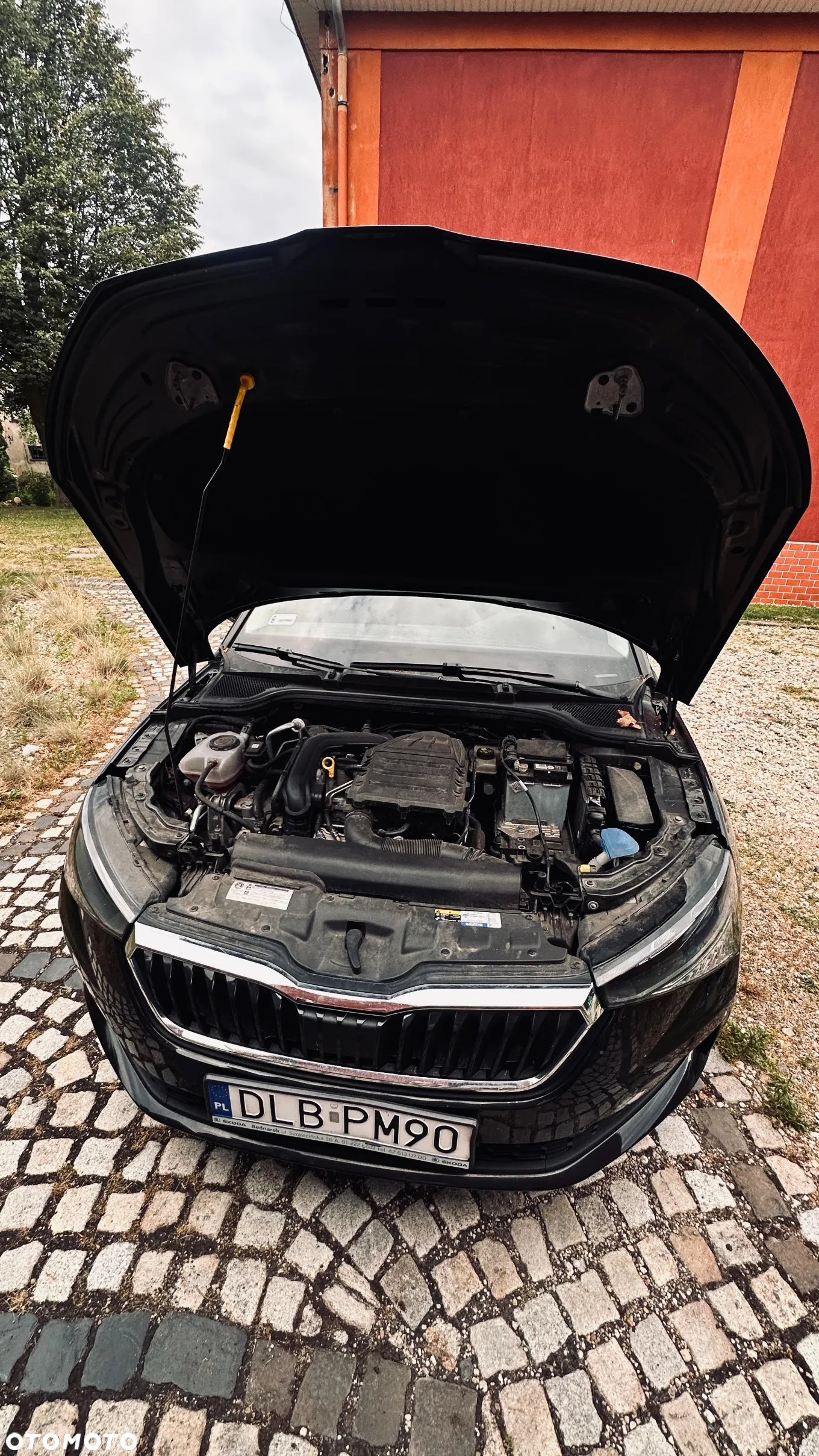 Skoda Scala - 13