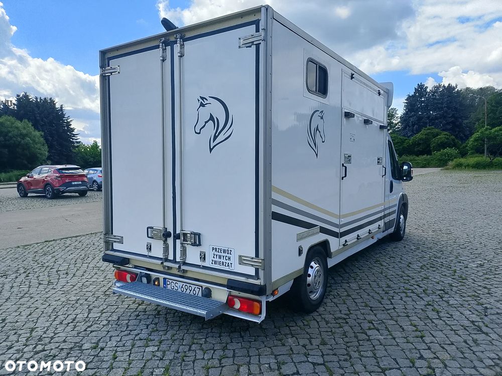 Fiat Ducato Koniowóz - 6