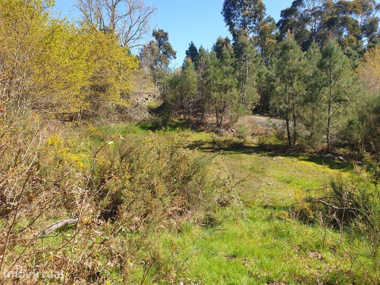 Terreno Rústico com 7000 m2 em Rio Douro, Cabeceiras de Basto - Grande imagem: 4/8