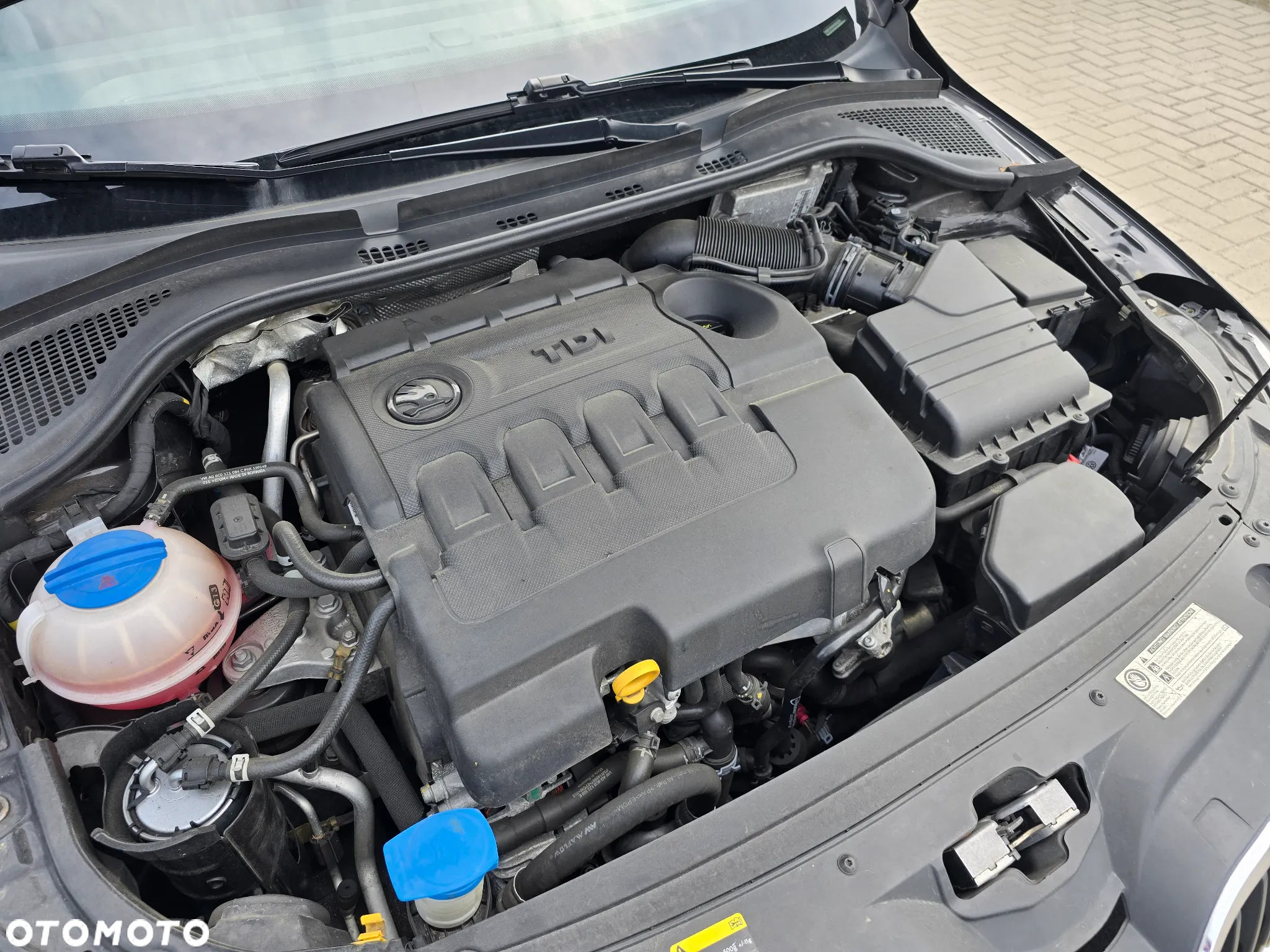 Skoda RAPID - 16