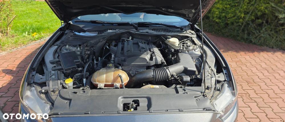 Ford Mustang 2.3 EcoBoost - 15