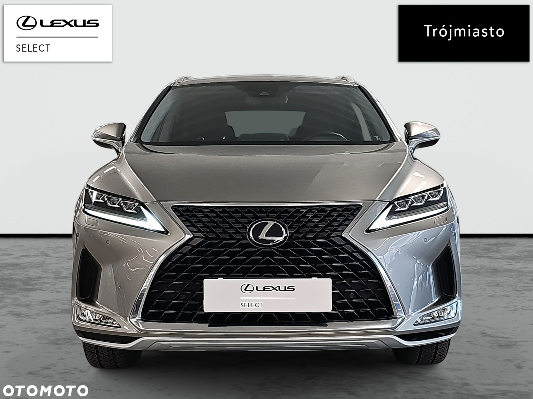 Lexus RX 300 Prestige - 2