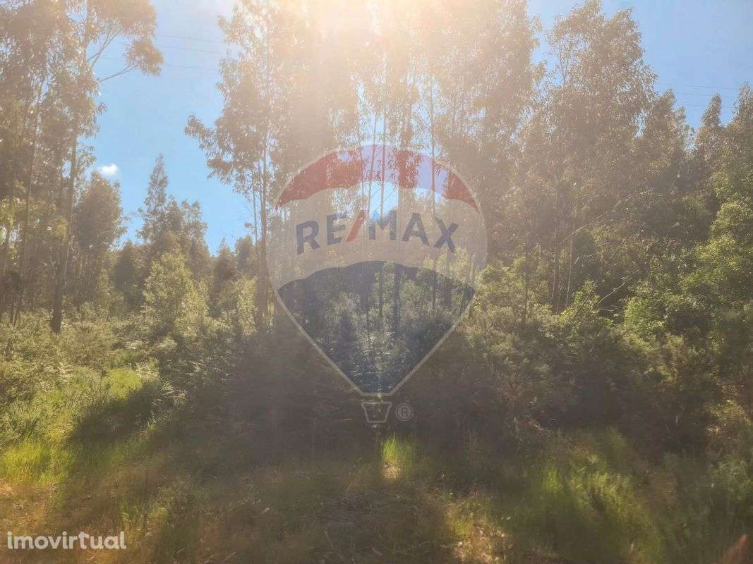 Terreno  para venda - Grande imagem: 4/6