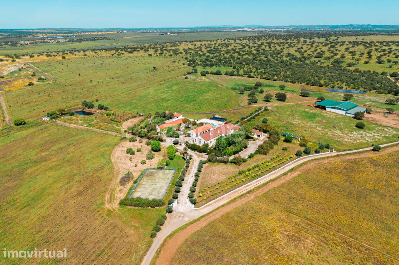 Herdade da Rusga - Grande imagem: 3/60