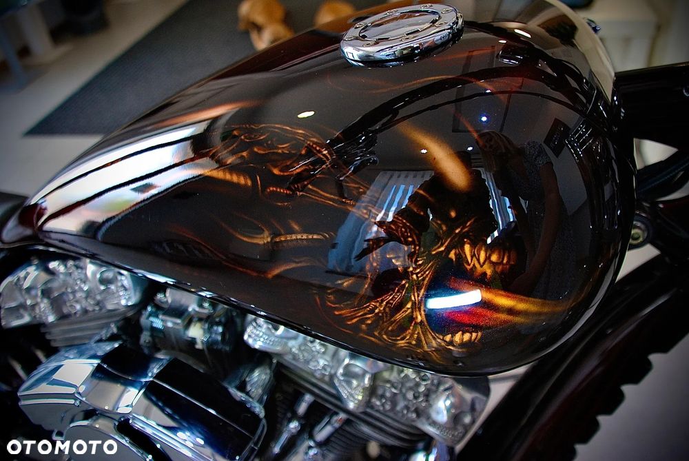 Harley-Davidson Softail - 10