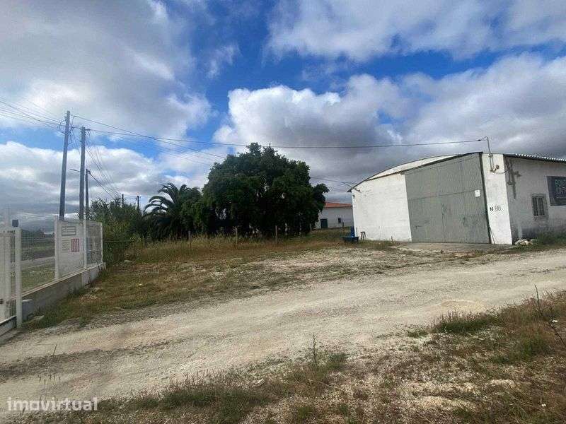 Arrenda-se Armazém em Benavente, bom estado, com contracto. - Grande imagem: 3/12