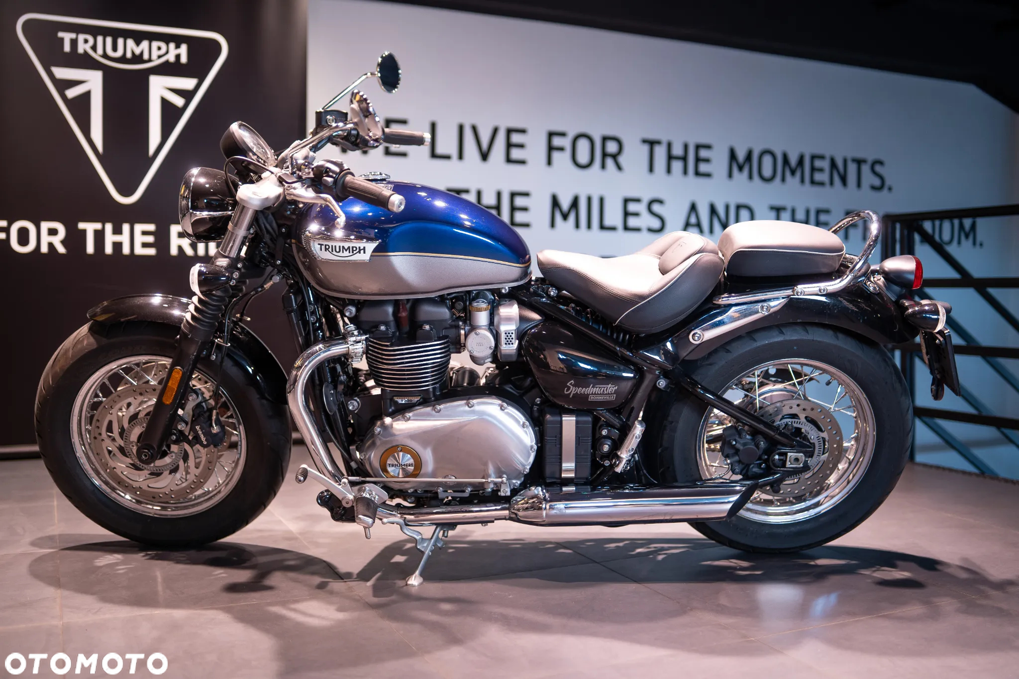 Triumph Speedmaster - 28