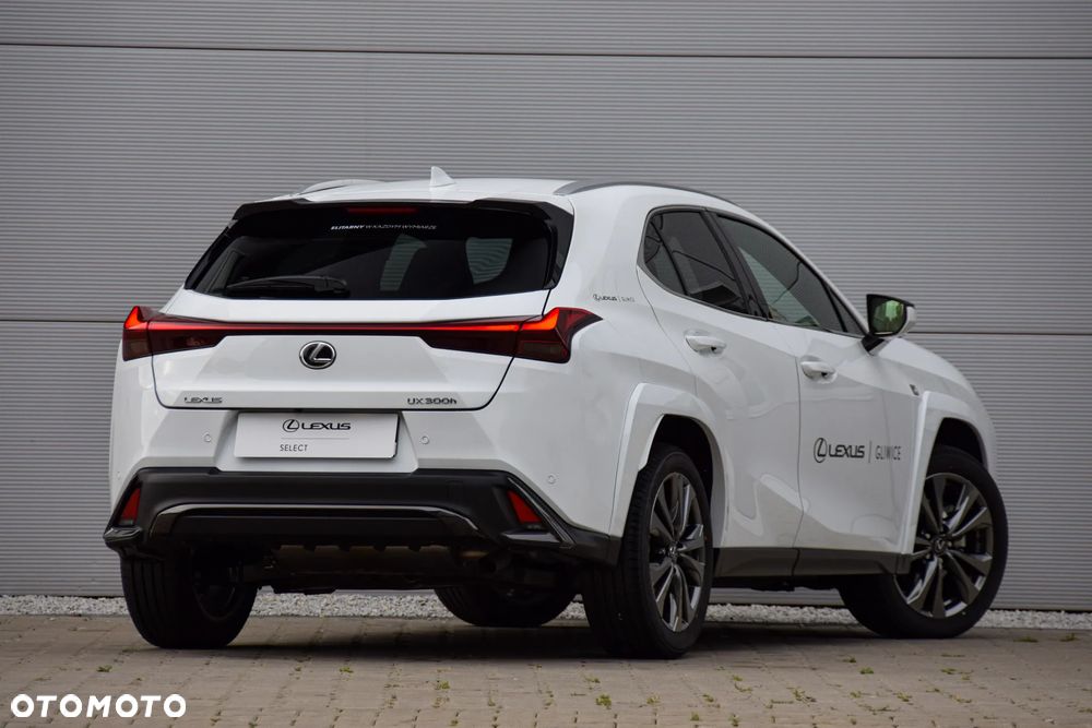 Lexus UX 300h F Sport - 6