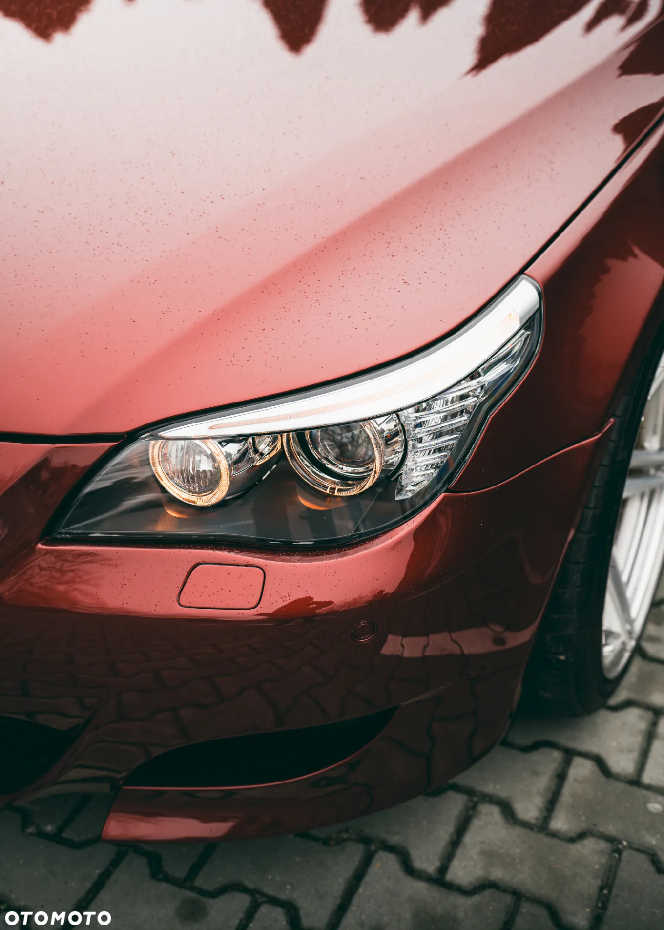 BMW M5 Standard - 4