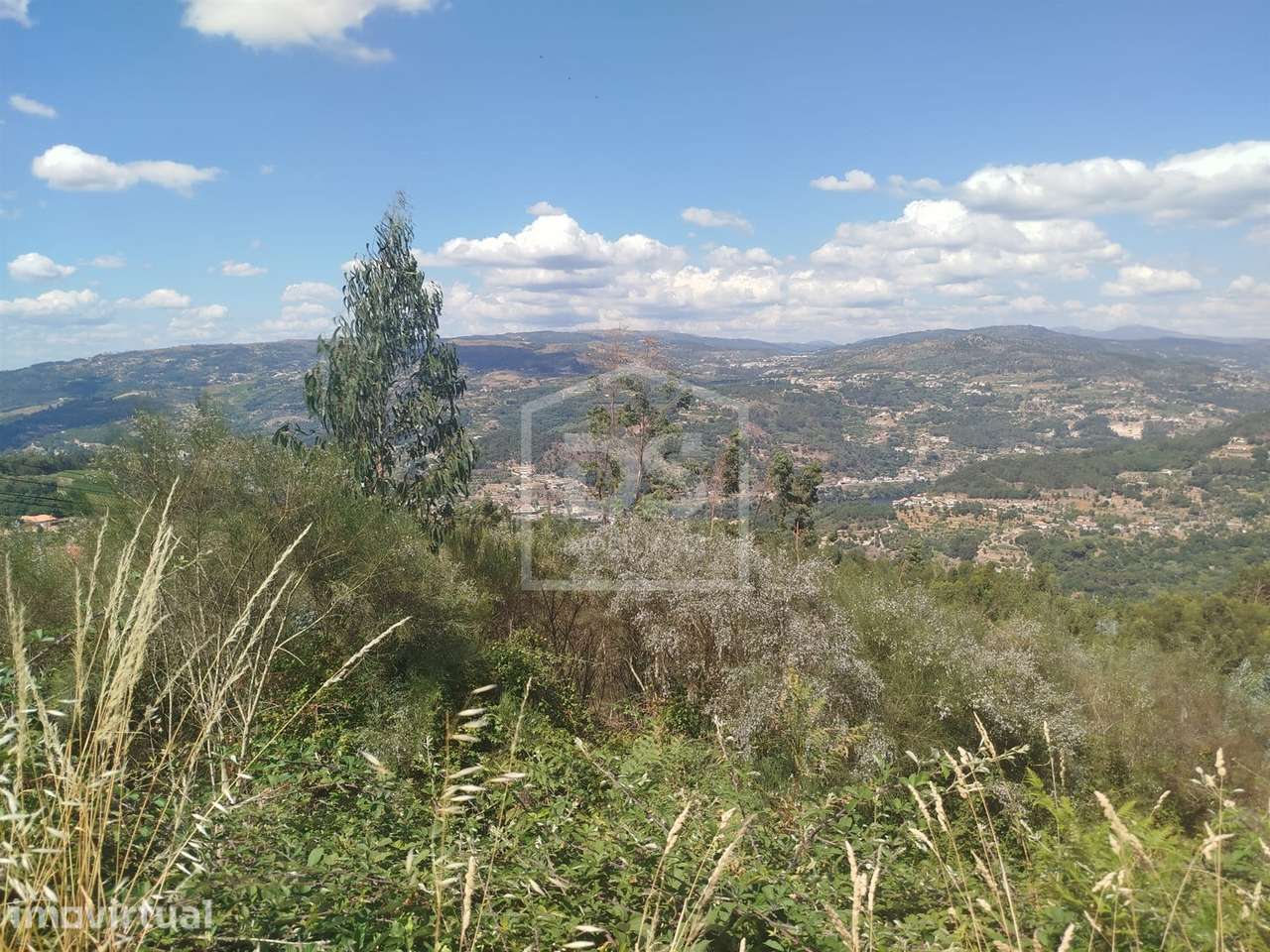 Terreno Para Construção  Venda em Cinfães,Cinfães - Grande imagem: 5/8