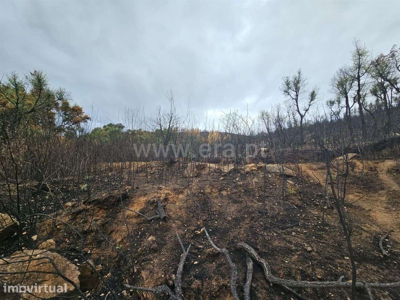 Terreno / Fundão, Telhado - Grande imagem: 2/12