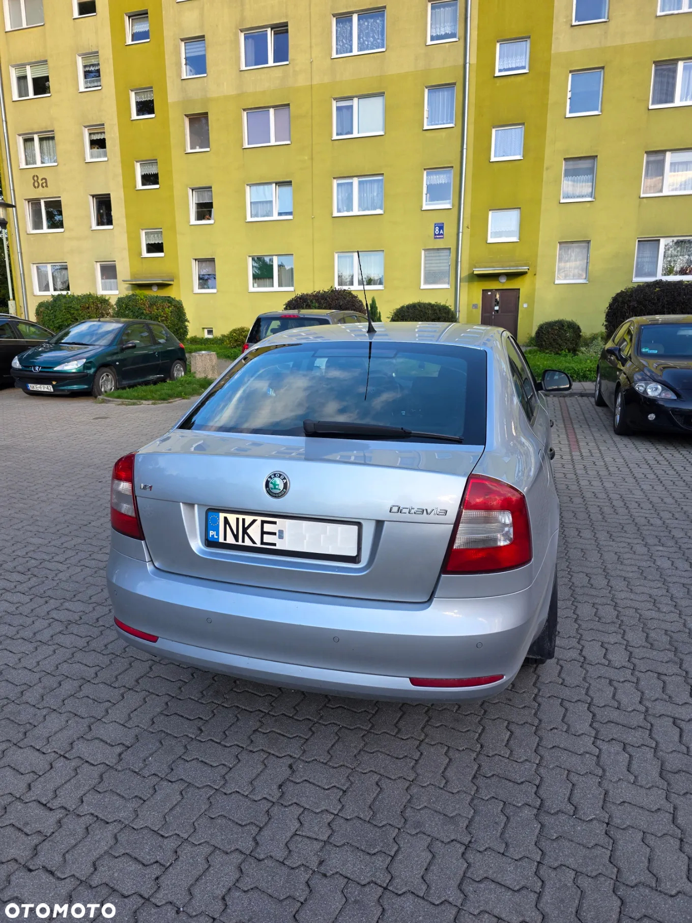 Skoda Octavia 1.6 Classic - 3