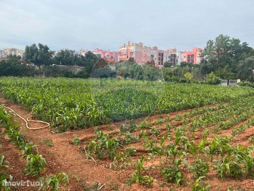 Terreno  para venda - Grande imagem: 4/16