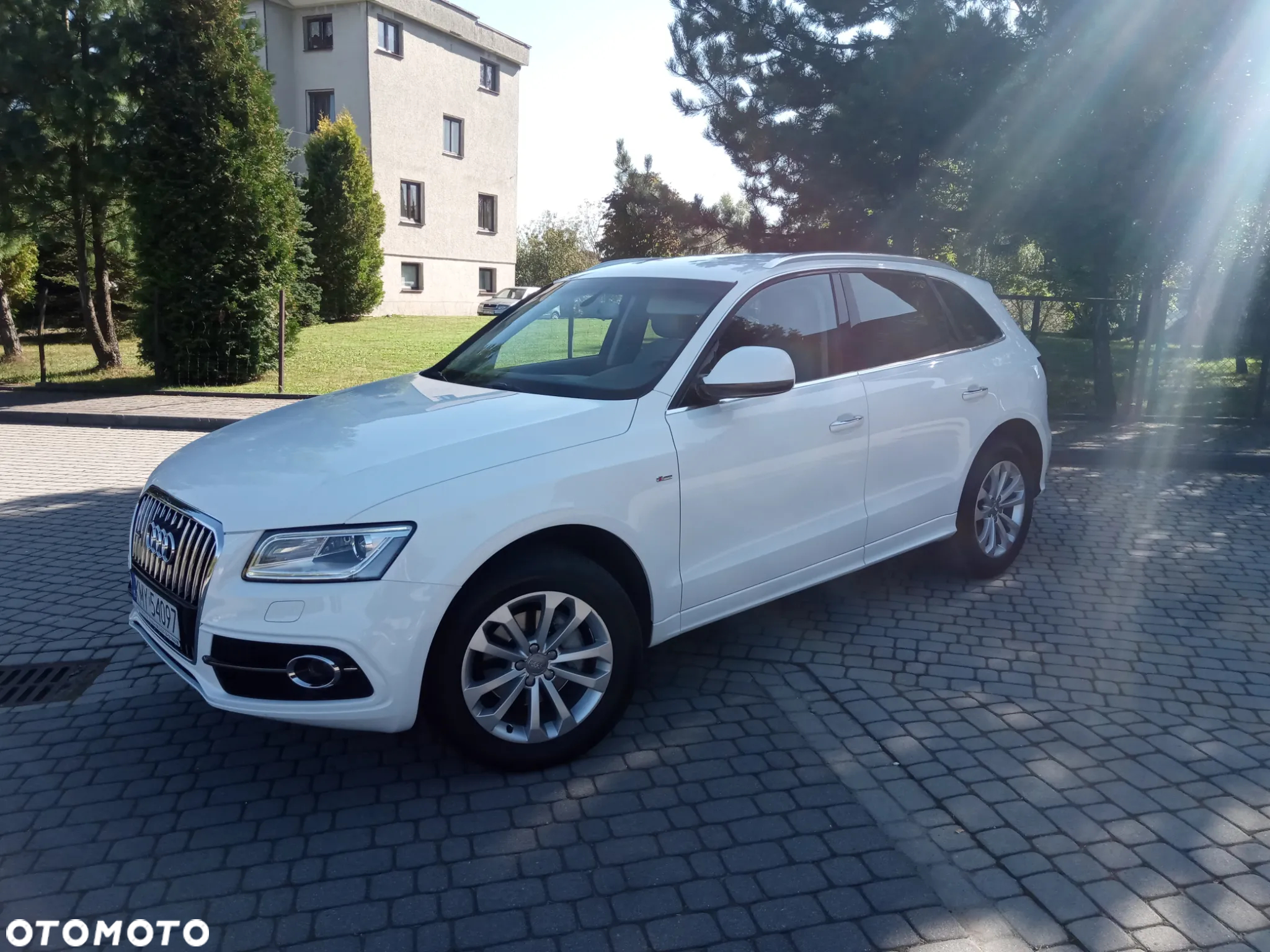 Audi Q5 2.0 TDI clean diesel Quattro S tronic - 2