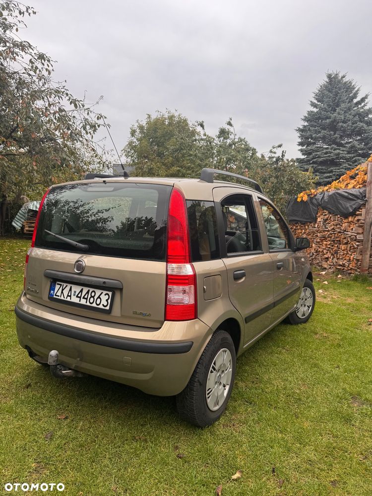 Fiat Panda 1.3 Multijet Dynamic - 3