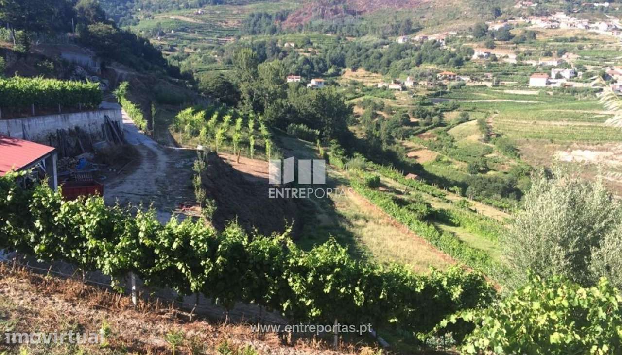 Venda Terreno, Santa Marinha do Zêzere, Baião - Grande imagem: 5/22