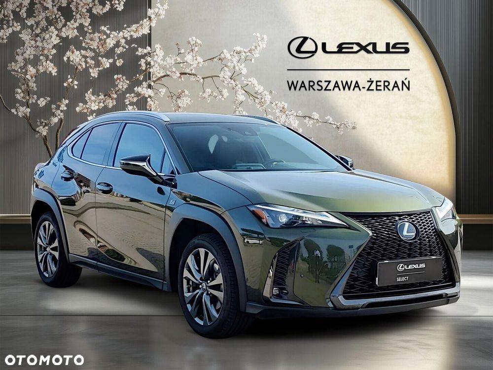 Lexus UX 250h GPF F Sport Design 2WD - 9