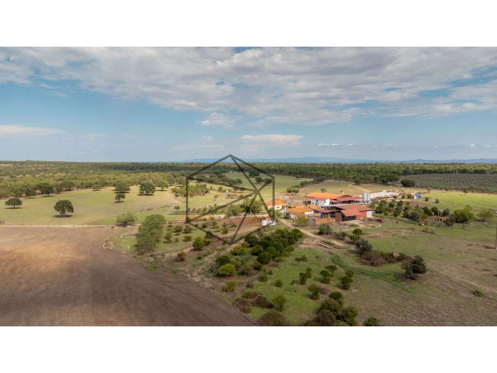 Quinta de 36 hectares para venda em Ponte de Sôr - Grande imagem: 2/29