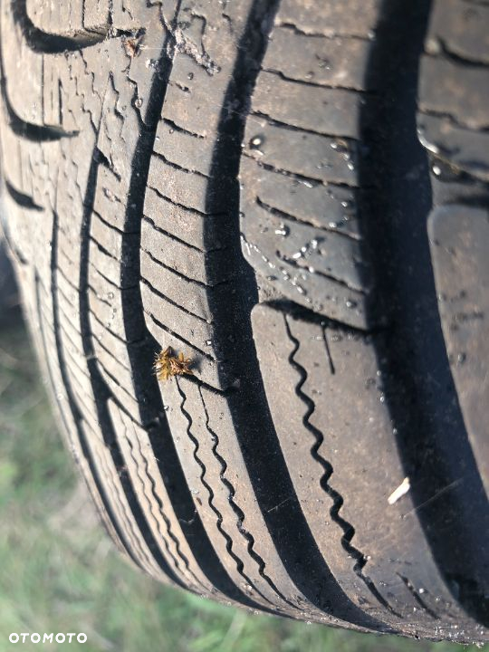 FELGI STALOWE NISSAN QASHQAI 205/55R16 - 6
