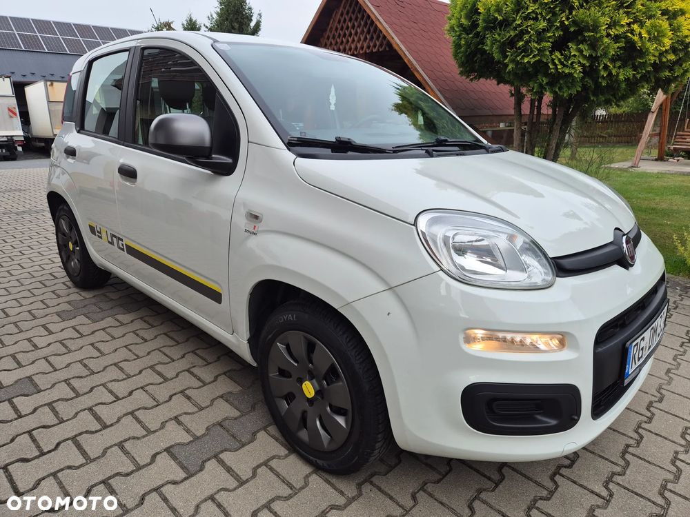 Fiat Panda 1.2 Young - 1