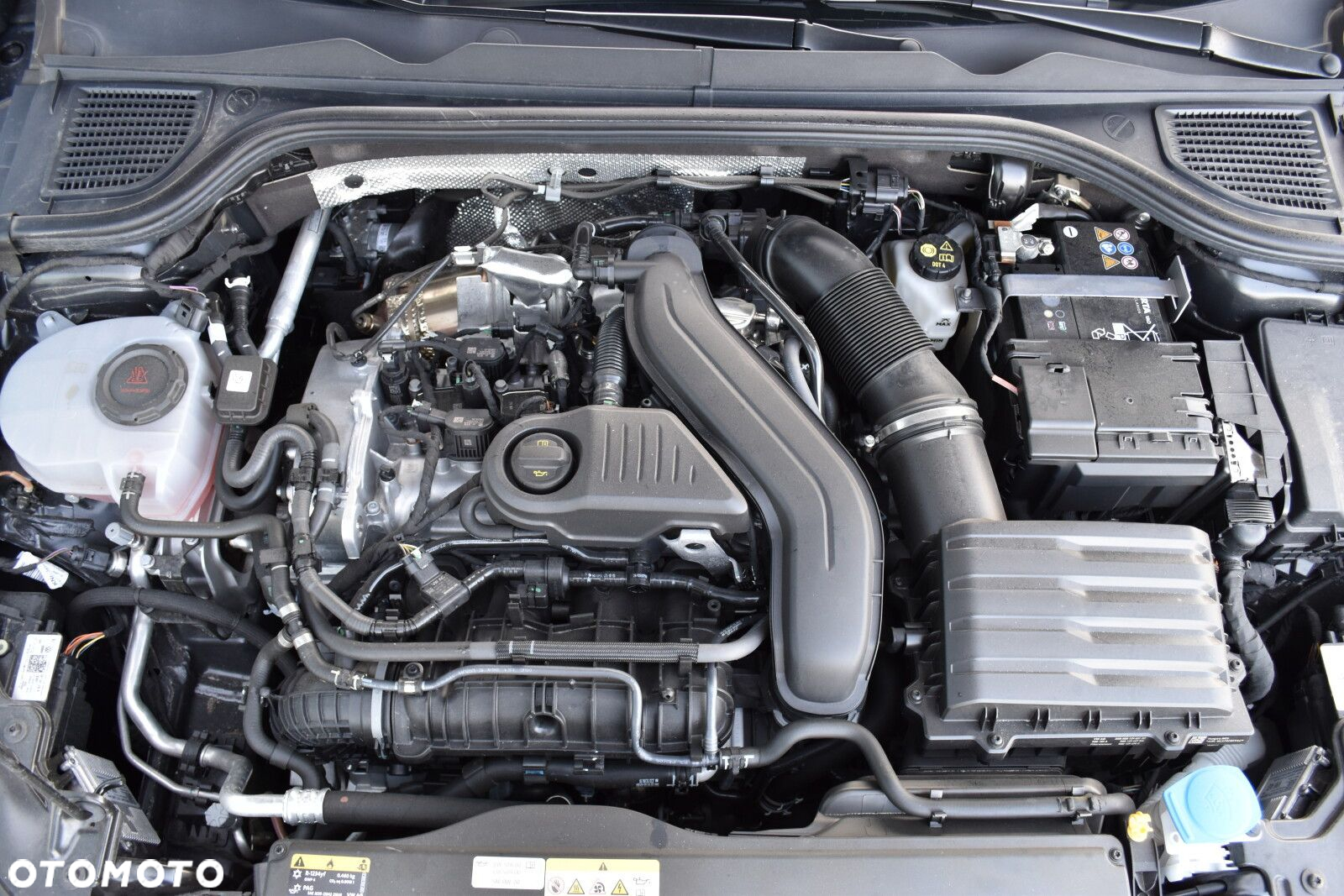 Volkswagen Golf - 37