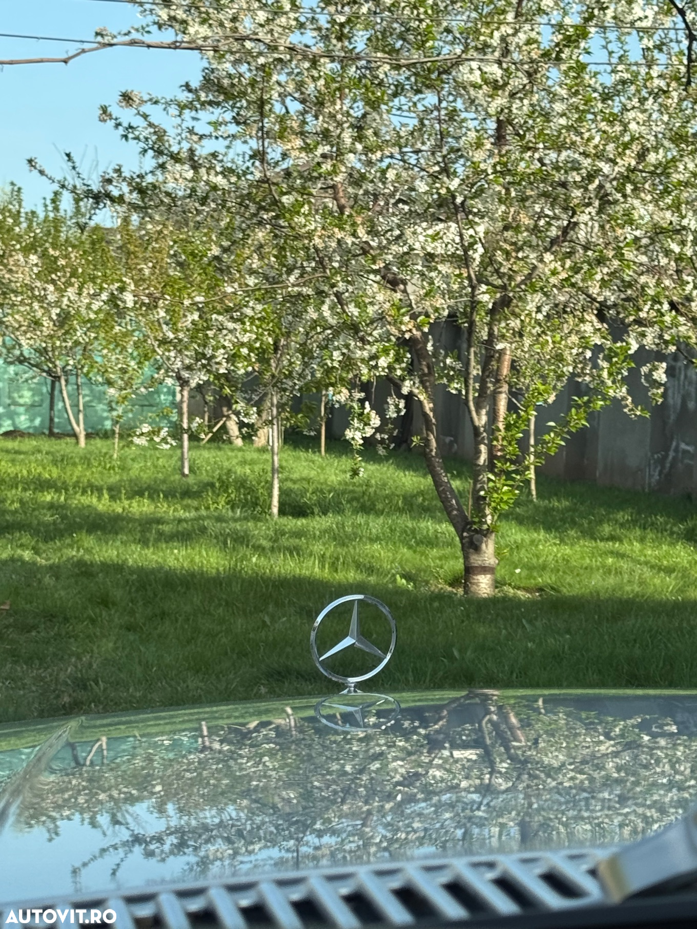 Mercedes-Benz W116 - 25