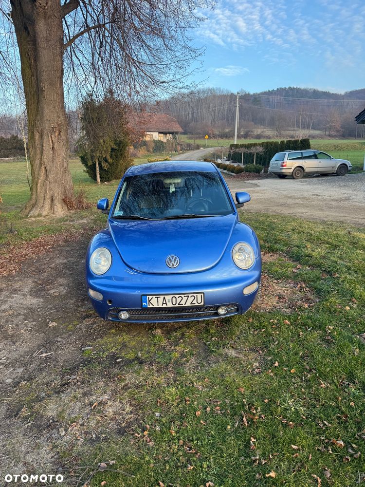 Volkswagen Beetle - 13