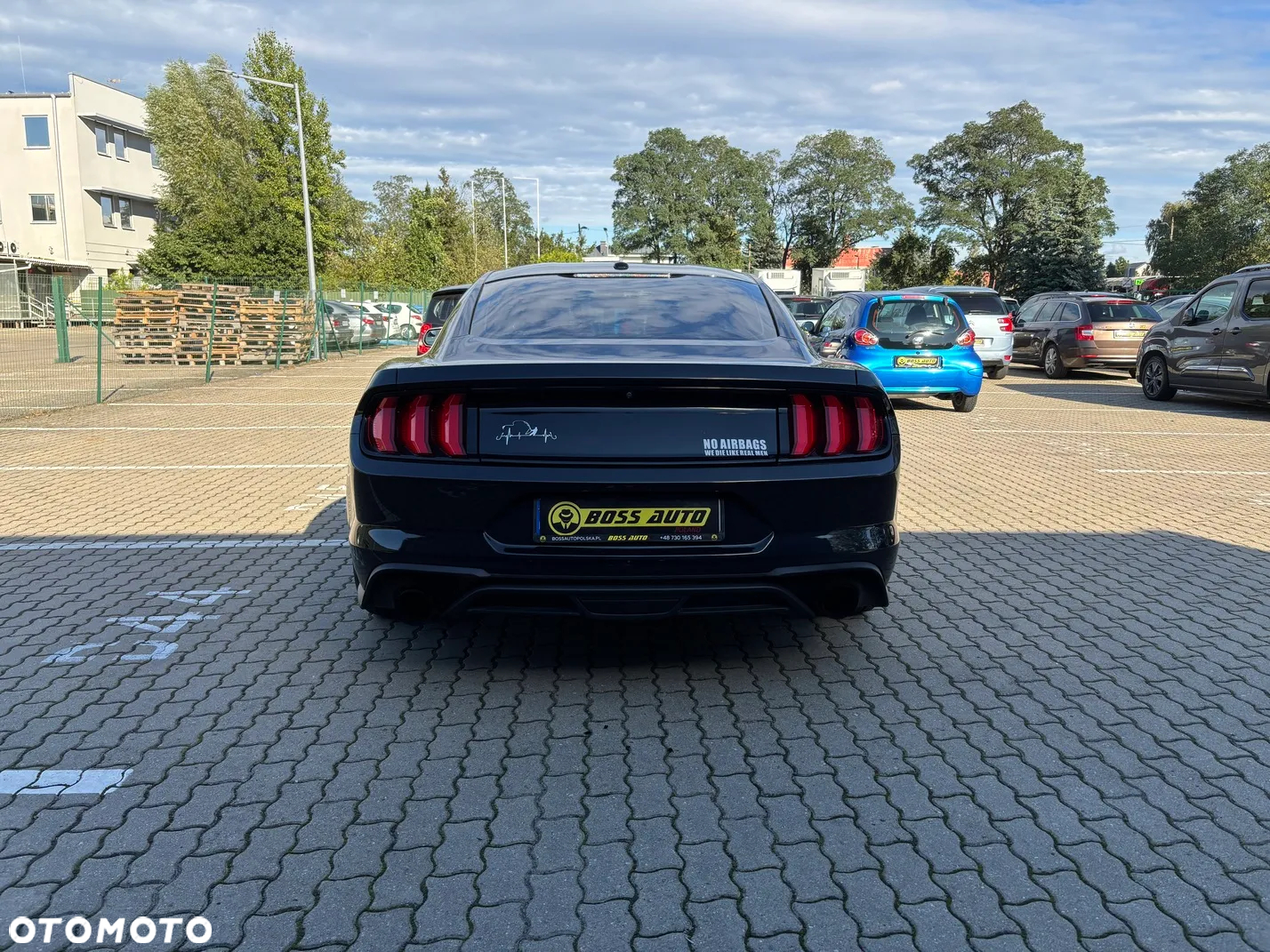 Ford Mustang - 5