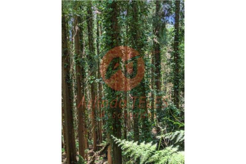 Venda Terreno - Grande imagem: 3/5