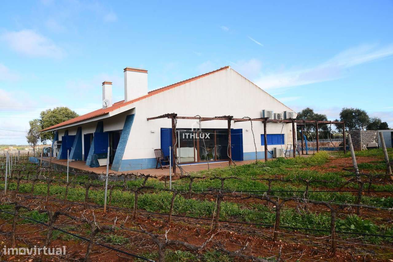 Quinta de 15 hectares de vinha em plena produção em Estremoz - Grande imagem: 2/51