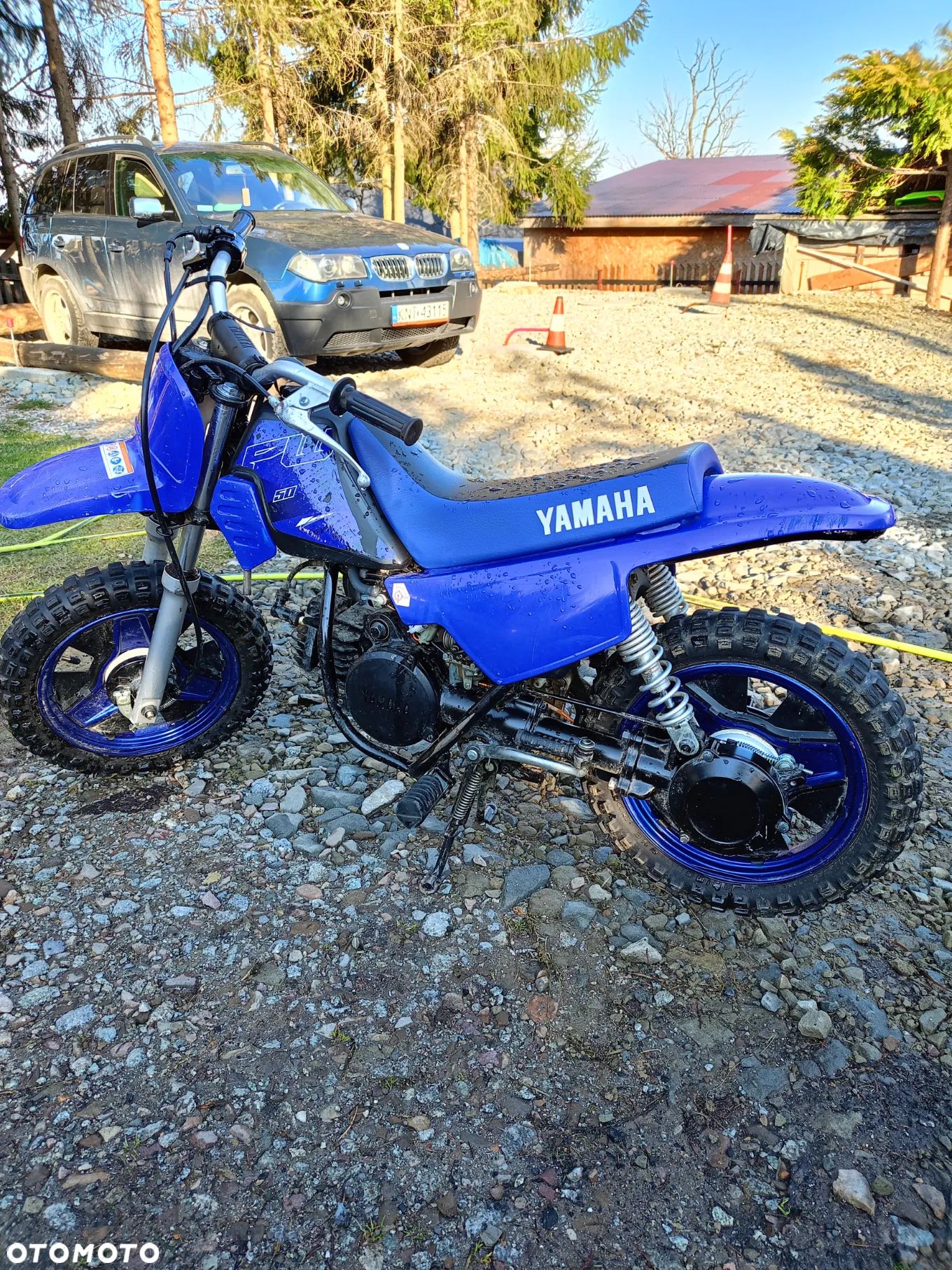 Yamaha PW
