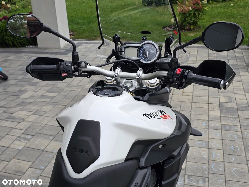 Triumph Tiger - 14