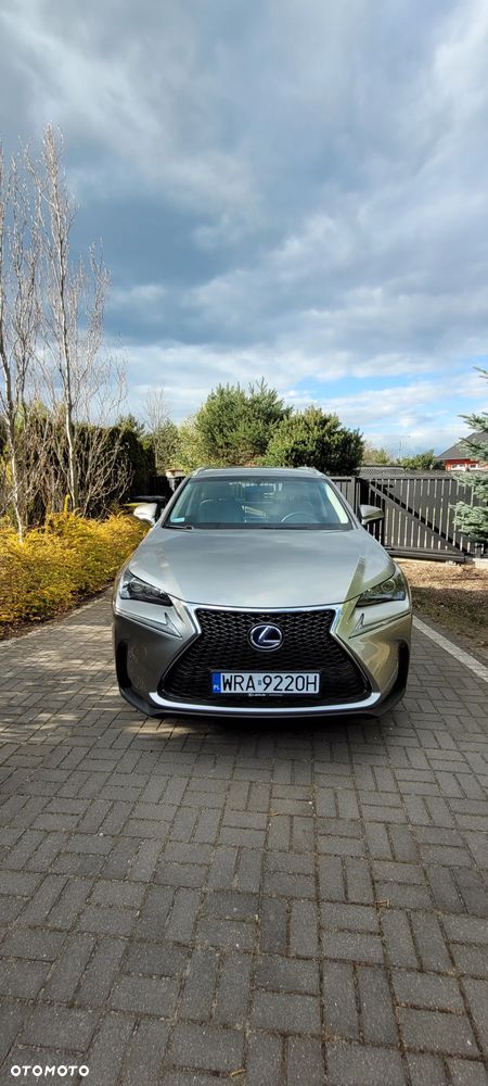 Lexus NX 300h Elite AWD - 2