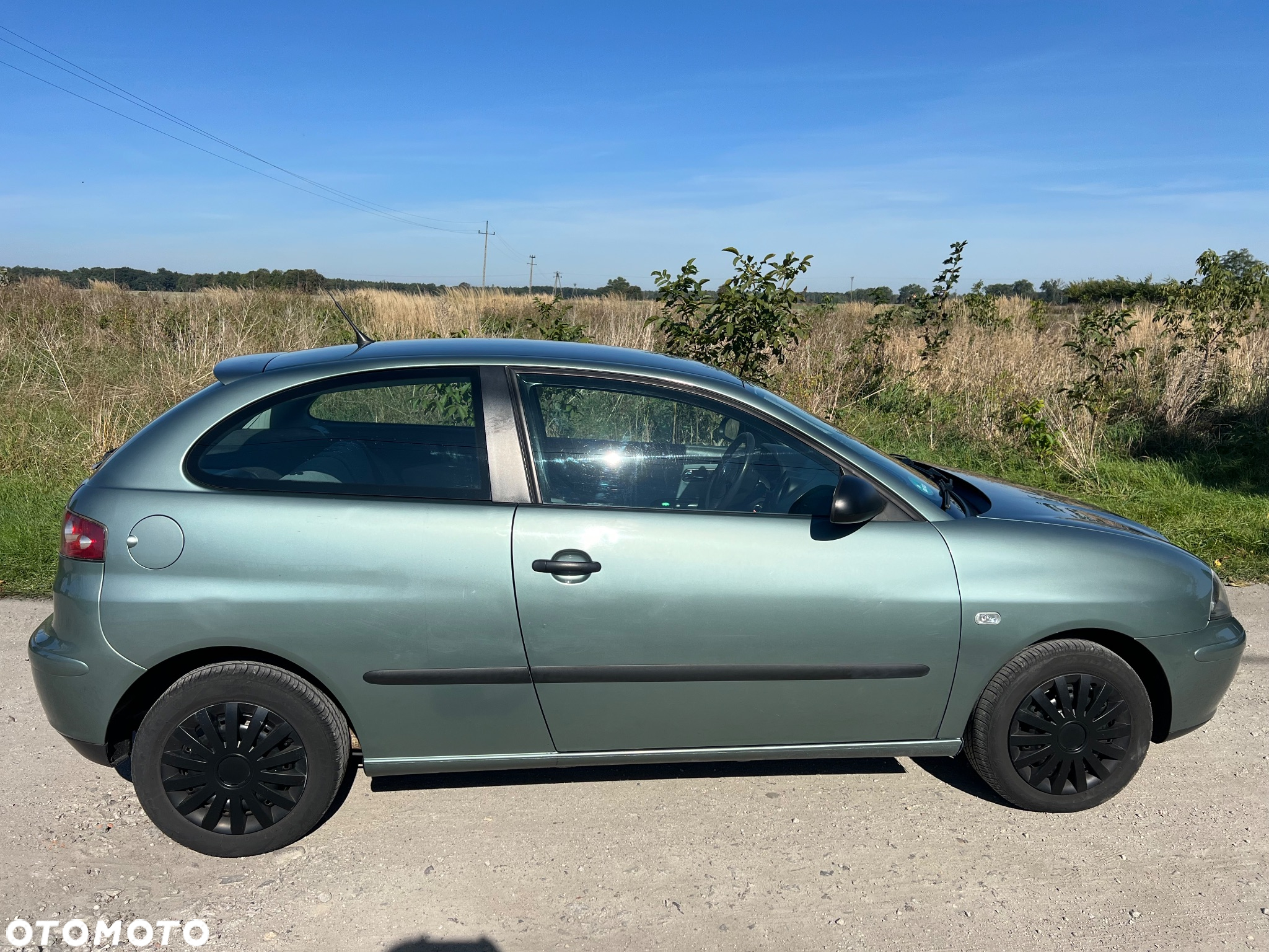 Seat Ibiza - 14