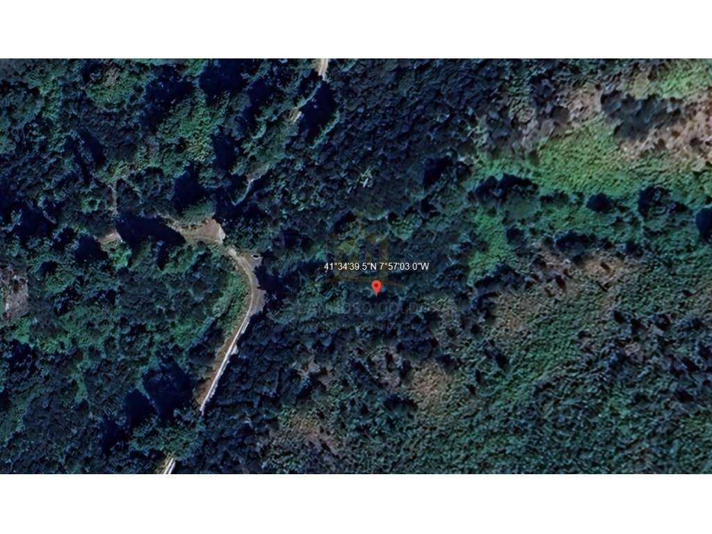 Terreno Exclusivo para Venda - Cabeceiras de Basto, Rio Douro - Grande imagem: 3/7