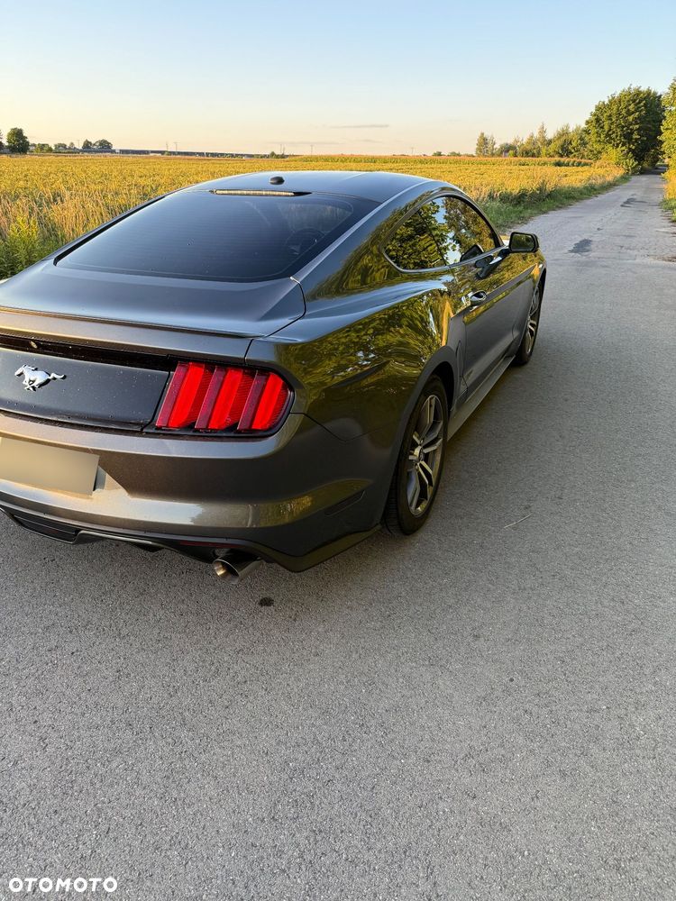 Ford Mustang 2.3 EcoBoost - 14