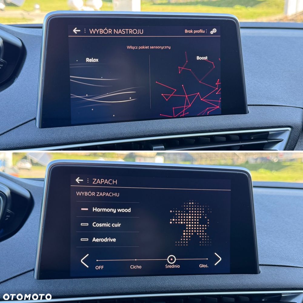 Peugeot 3008 2.0 BlueHDi Crossway S&S - 30