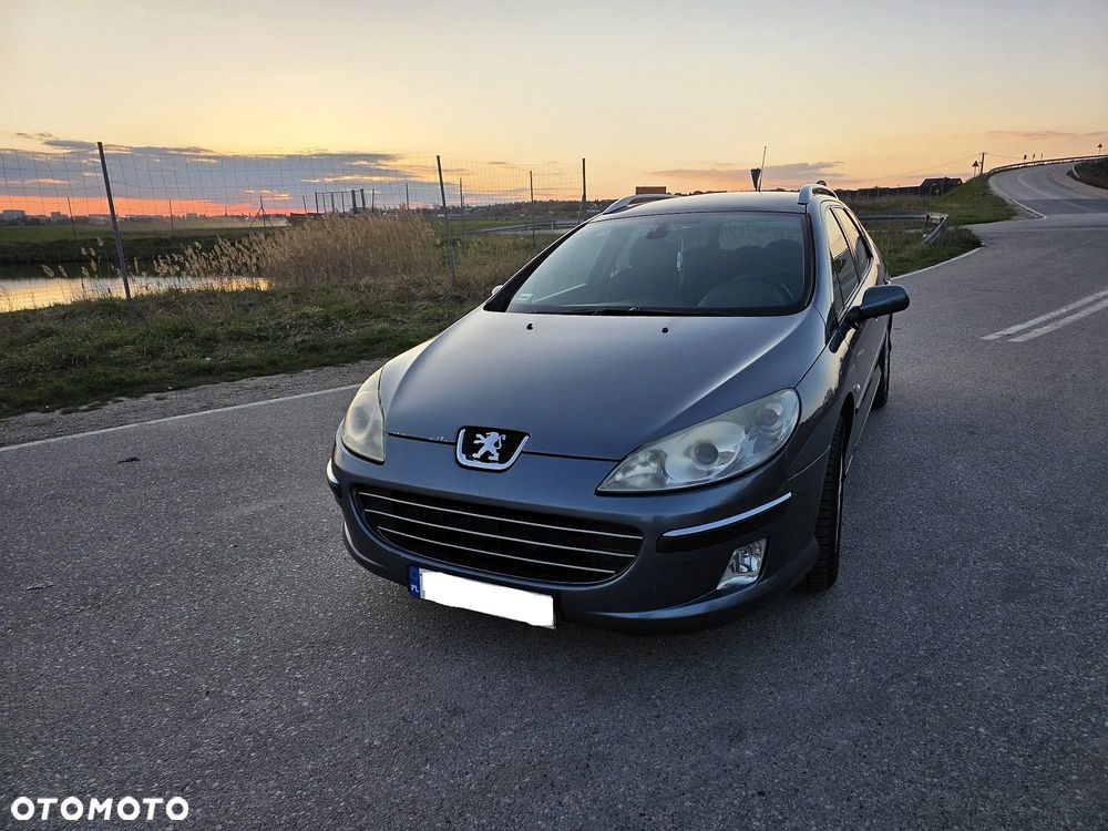 Peugeot 407 135 - 3
