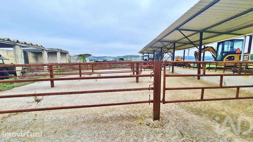 Quinta em Peral de 92520,00 m2 - Grande imagem: 4/30