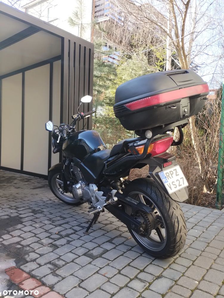 Honda CBF - 2