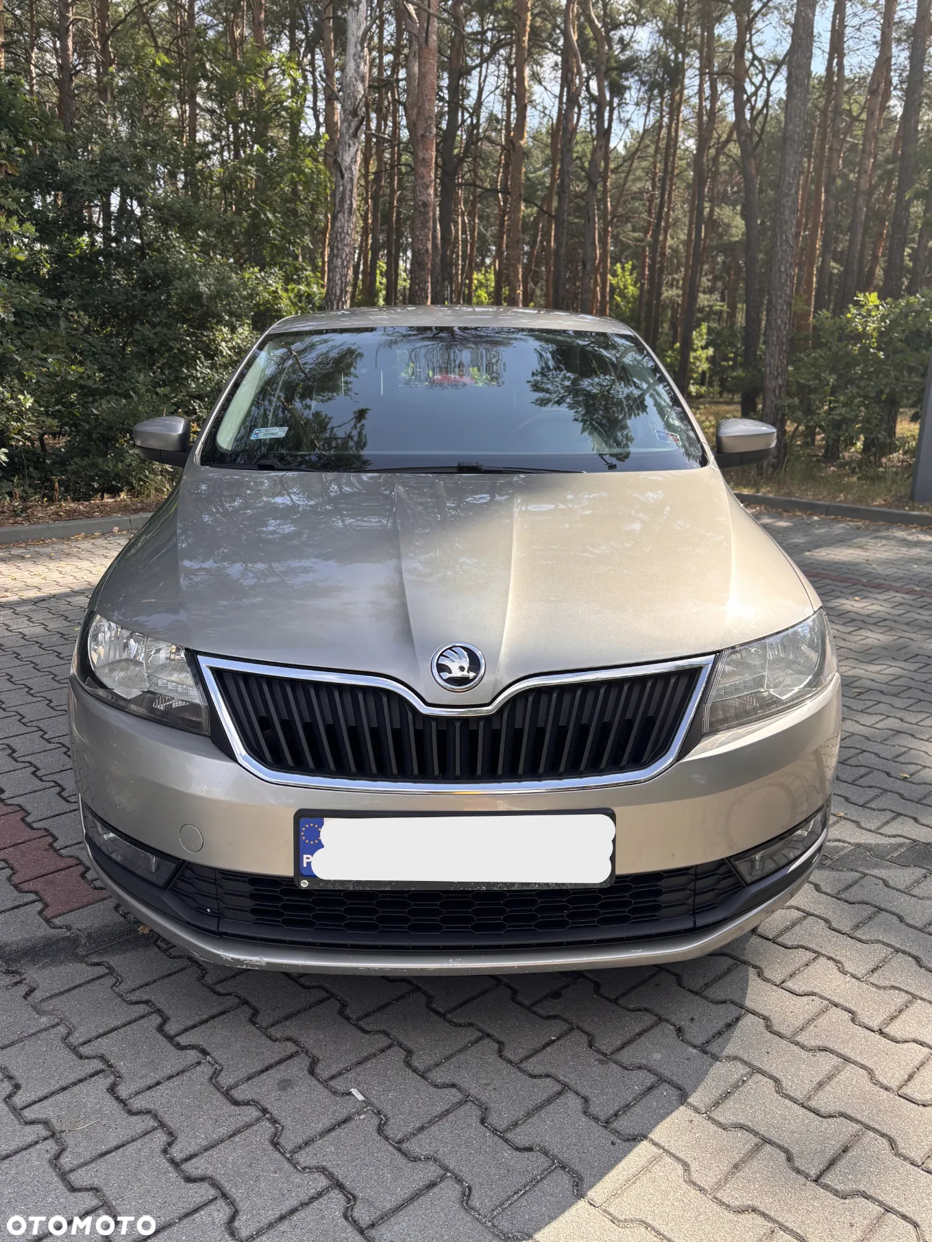 Skoda RAPID 1.0 TSI Ambition - 27