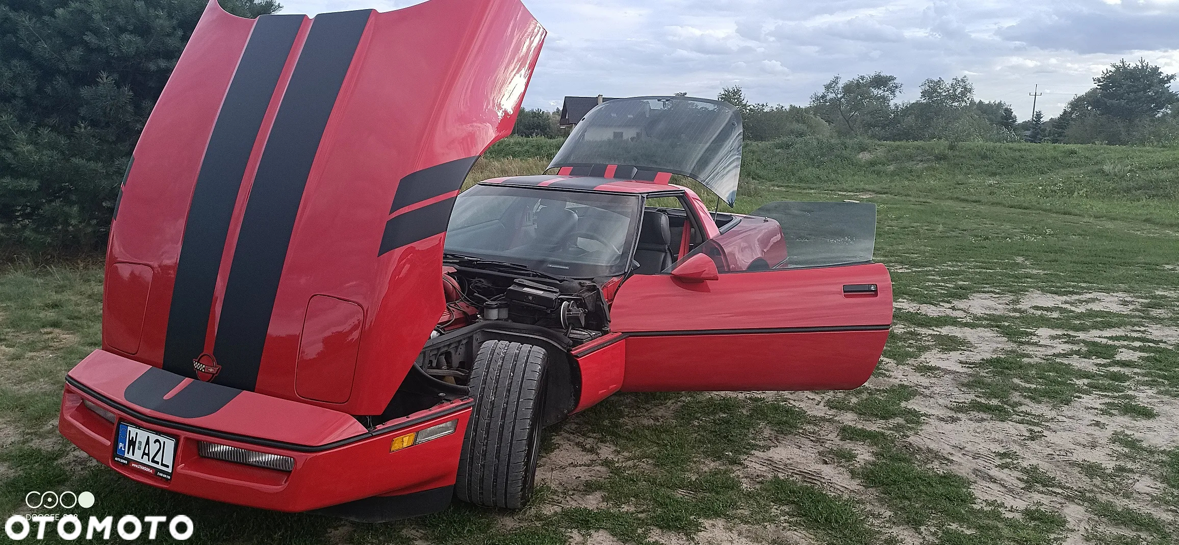 Chevrolet Corvette - 5