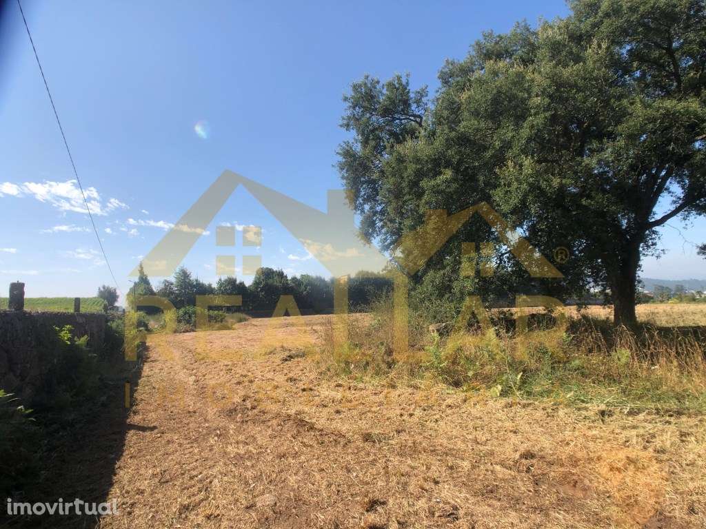 Terreno Urbano em Alvelos - Barcelos - Grande imagem: 4/9