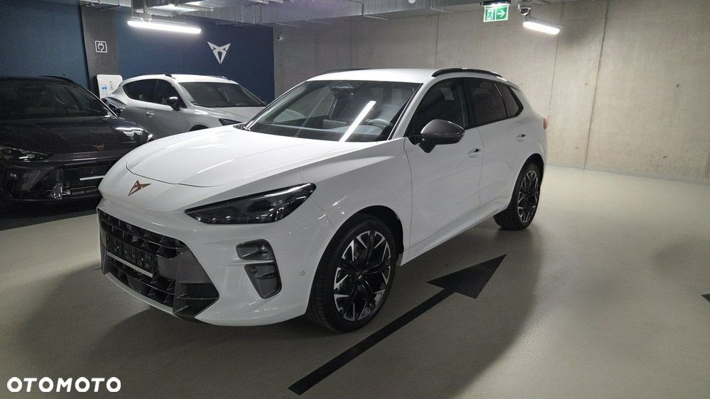 Cupra Terramar - 11