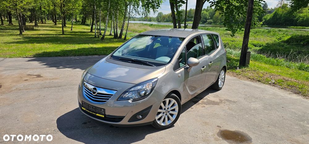 Opel Meriva 1.4 Ecoflex Color Edition - 11
