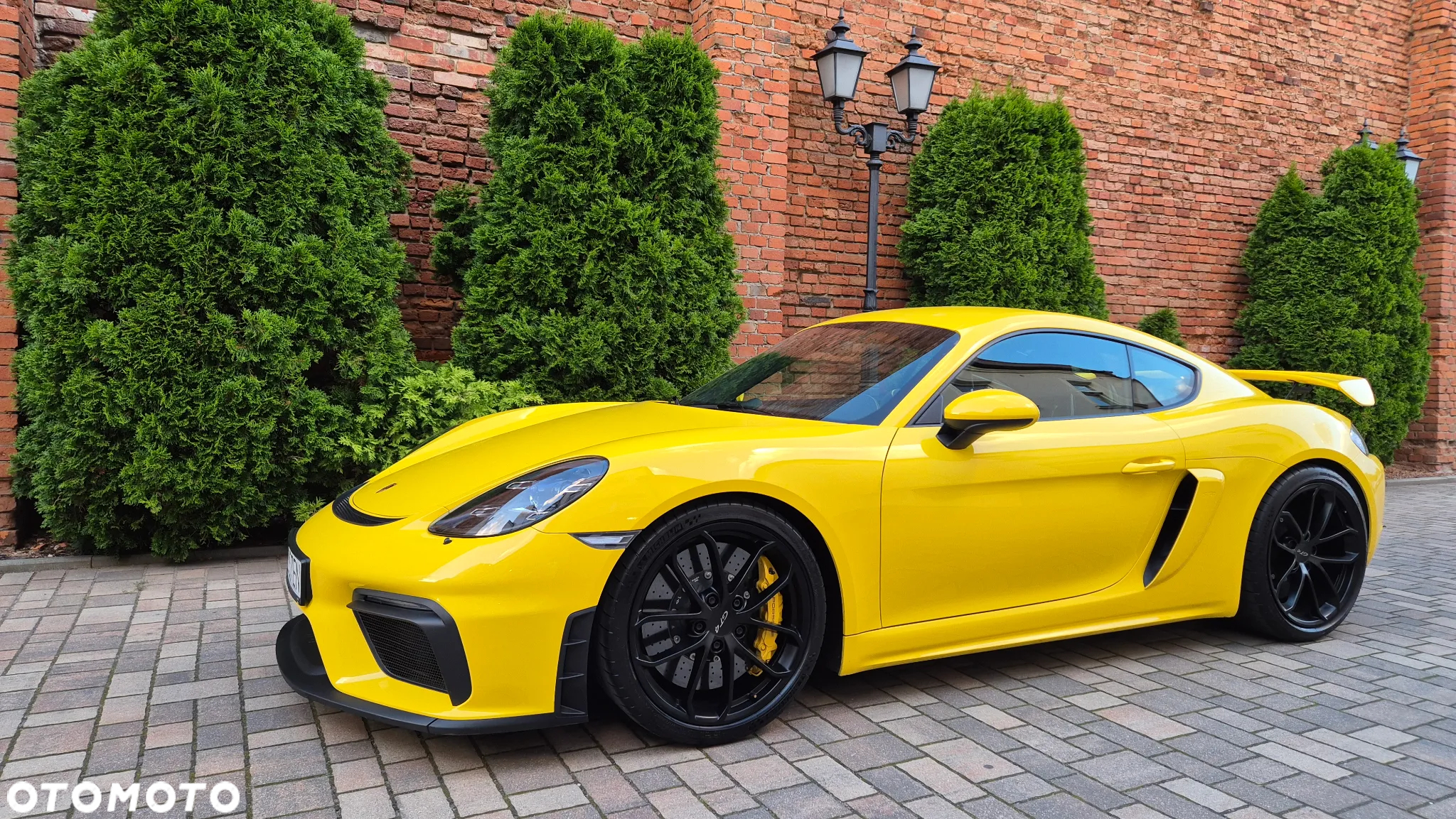 Porsche 718 Cayman GPF GT4 - 2
