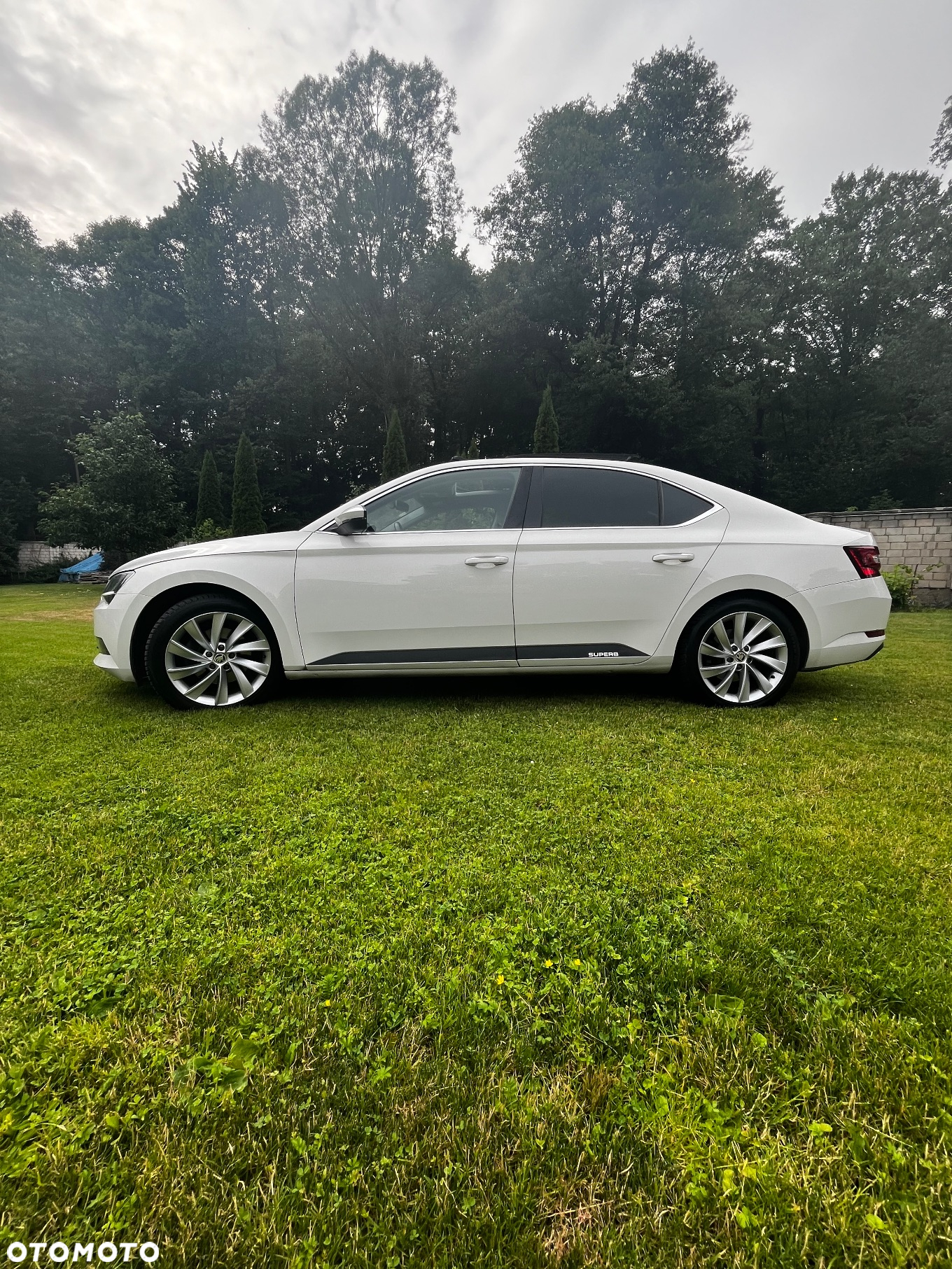 Skoda Superb - 2
