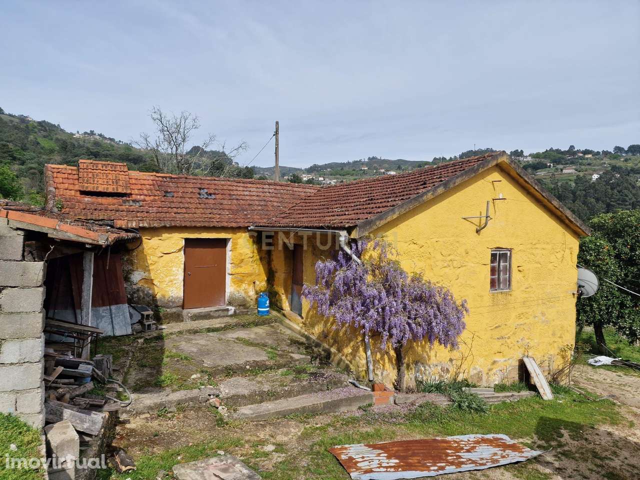 Quinta da Cepa - Grande imagem: 2/28