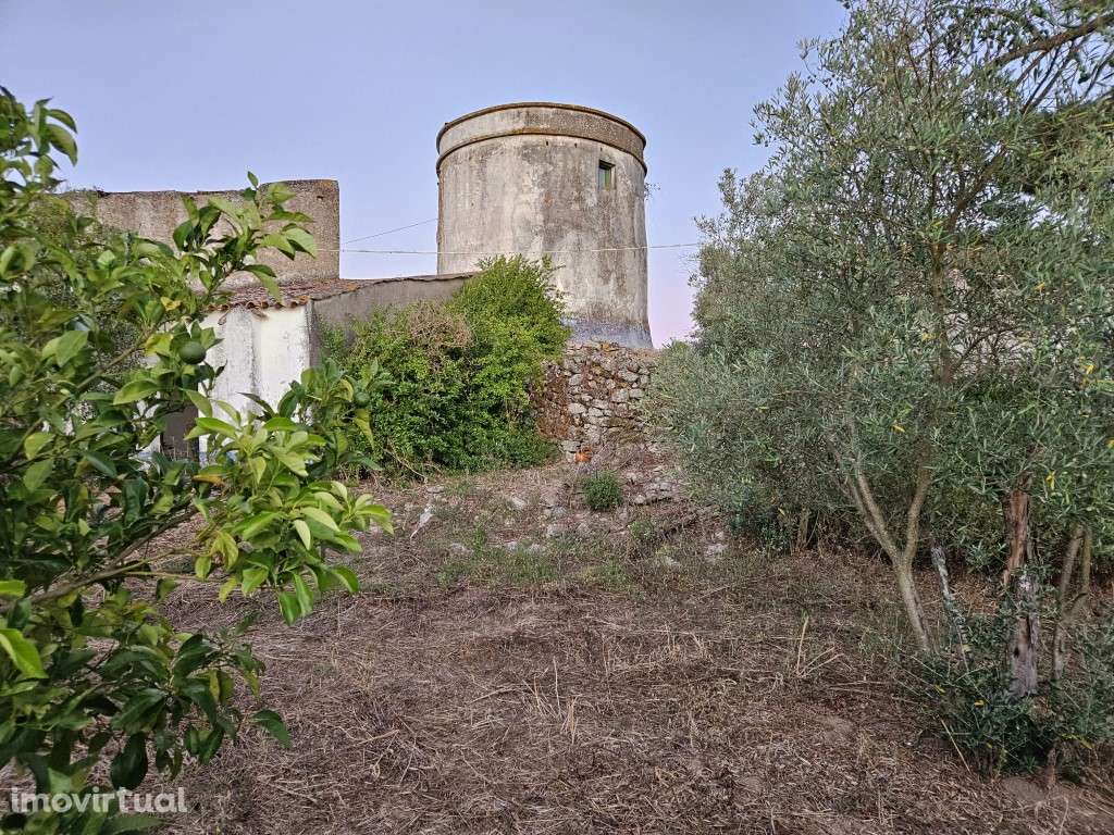 Quinta em Évora com 29.476 m2, sendo 6.476 m2 urbanos (2,976 hectar... - Grande imagem: 4/11