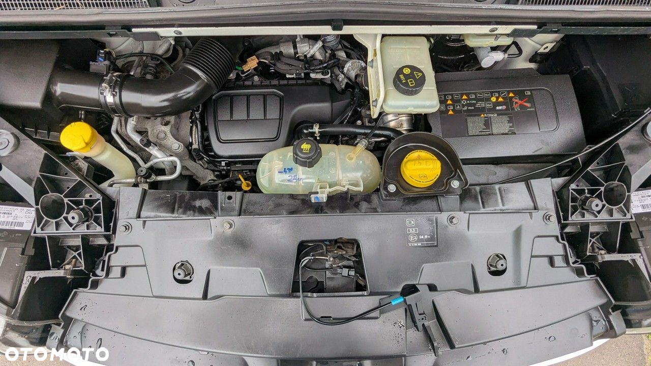 Renault Trafic - 34